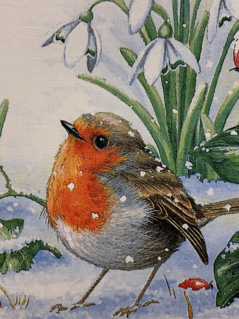 Robin Decoupaged Robin With Snowdrops - 15cm Square Decoupaged Wooden Plaque / Robin ...