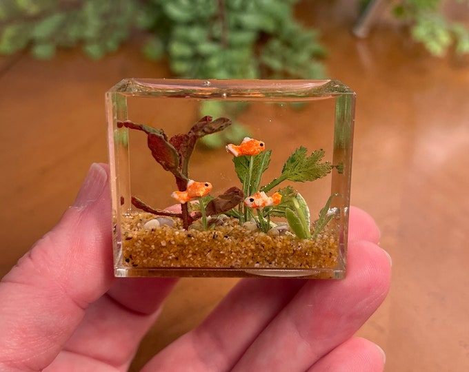 Miniature Goldfish Aquarium, Smaller Size, Natural Brown Gravel, Multi ... - Mini Aquariums For Goldfish Care