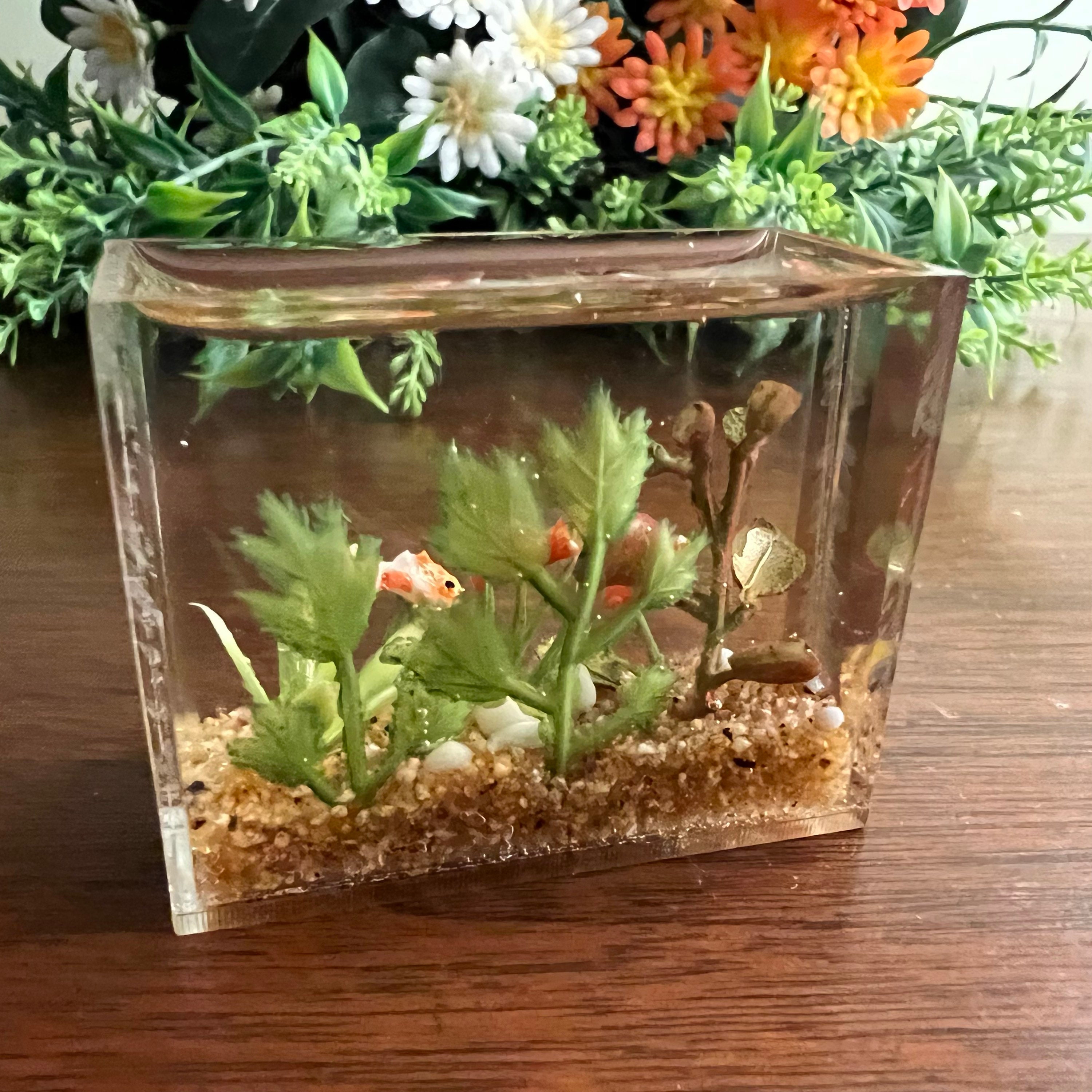 Miniature Goldfish Aquarium Smaller Size Natural Brown - Etsy - Miniature Goldfish Tanks For Small Areas