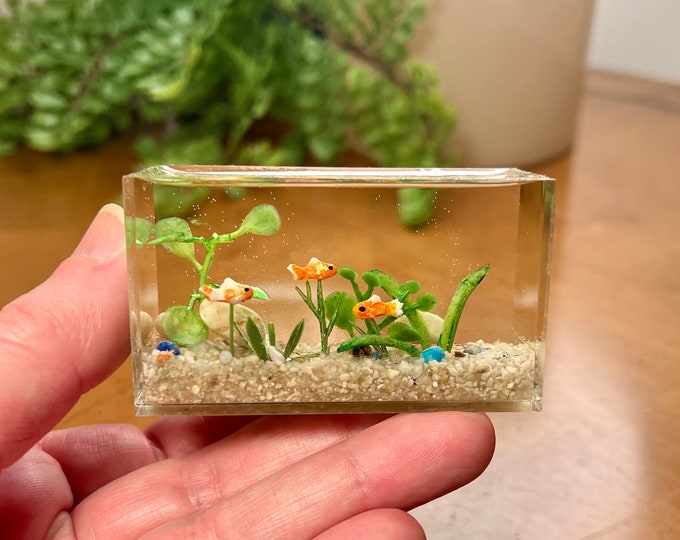Picture of Miniature Goldfish Aquarium, Larger Size, Aqua Gravel 1:12 Scale - Etsy