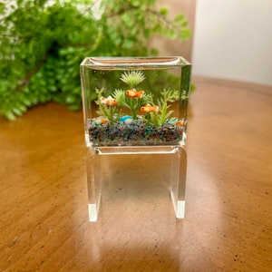 View of Miniature Goldfish Aquarium, Multi-color Gravel Smaller Size, Multi ...