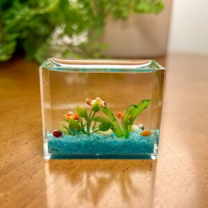 A closer look at Miniature Aquarium For Goldfish