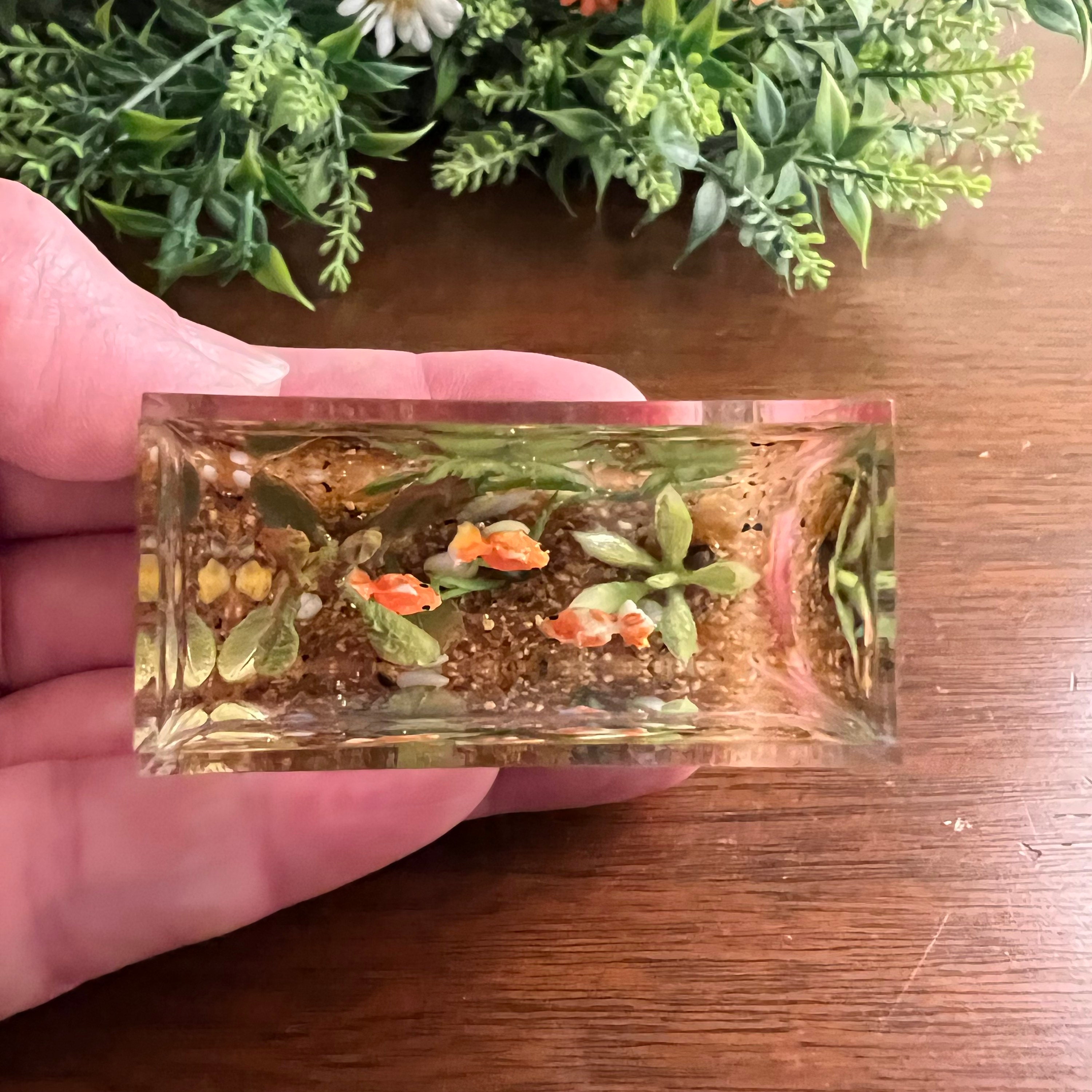 Curated Miniature Goldfish Aquarium Gallery View