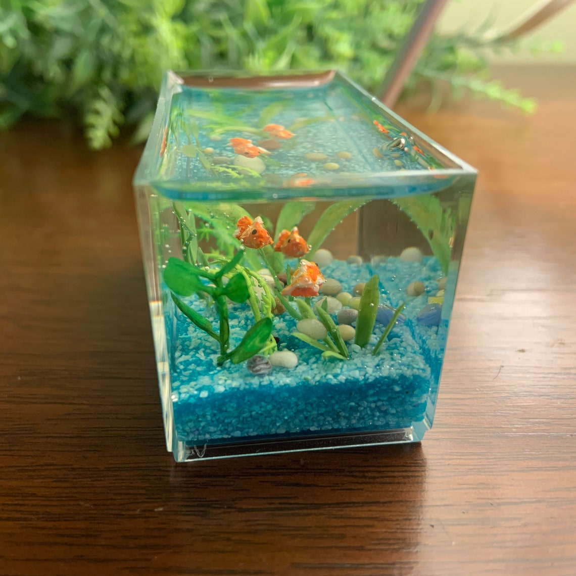 Miniature Goldfish Aquarium Aqua Gravel Etsy
