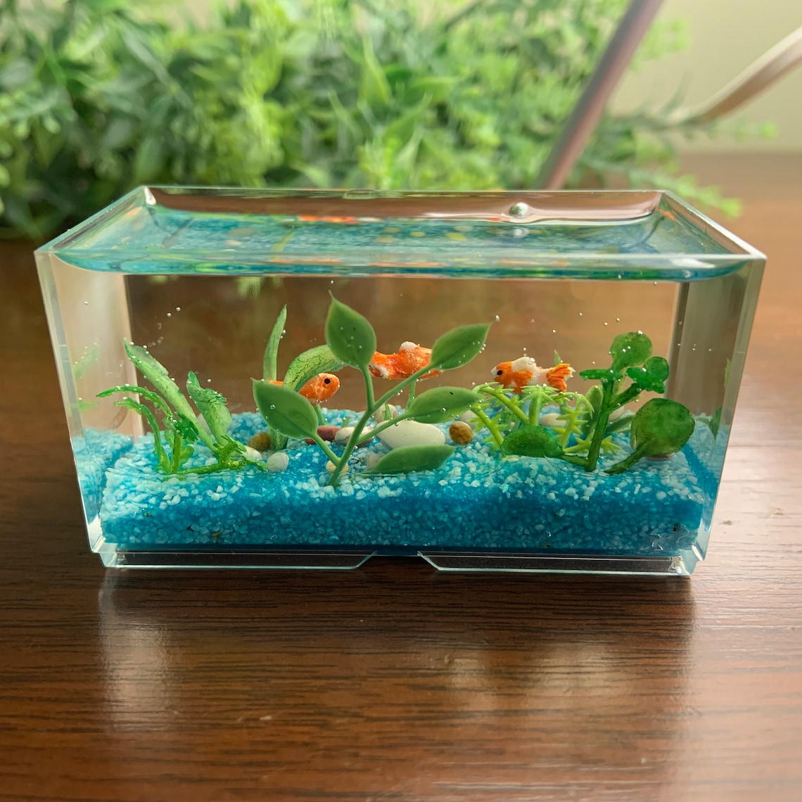 Miniature Goldfish Aquarium Aqua Gravel Etsy