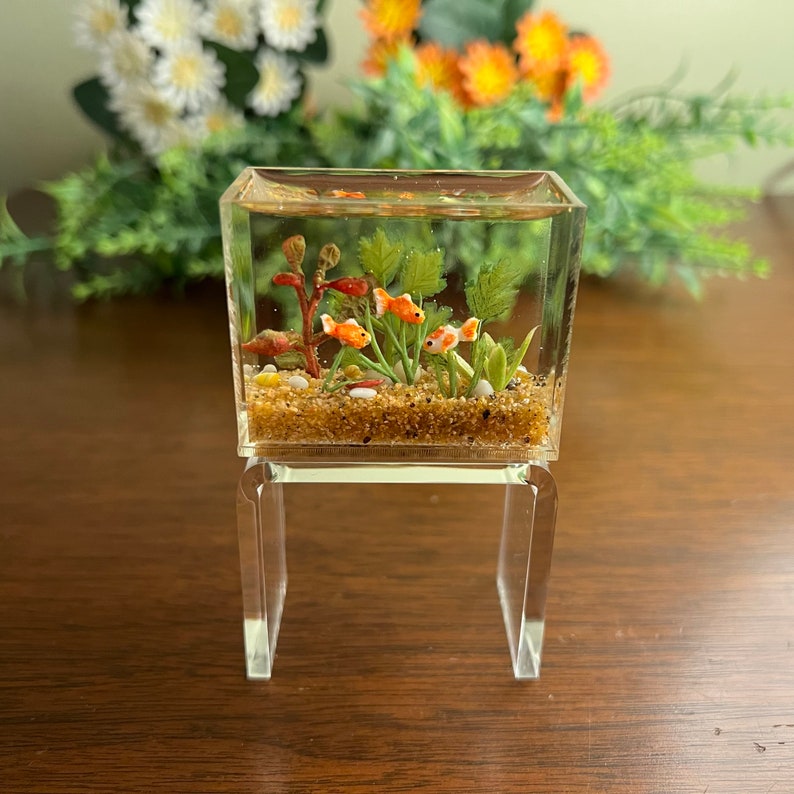 Miniature Goldfish Aquarium Smaller Size Natural Brown - Etsy - Miniature Goldfish Aquarium Ideas For Small Spaces
