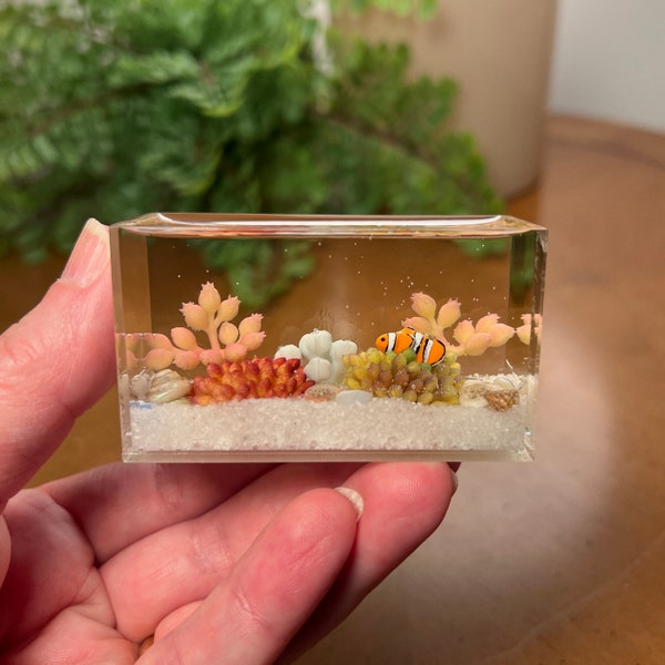 Miniature Marine Aquarium, Tiny Percula Clownfish, White Gravel