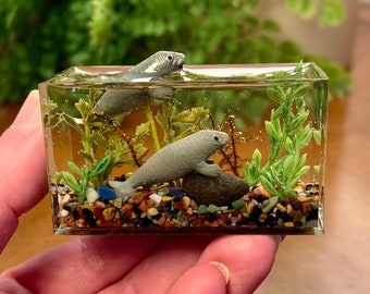 Miniature Manatee Aquarium, Darker Gravel