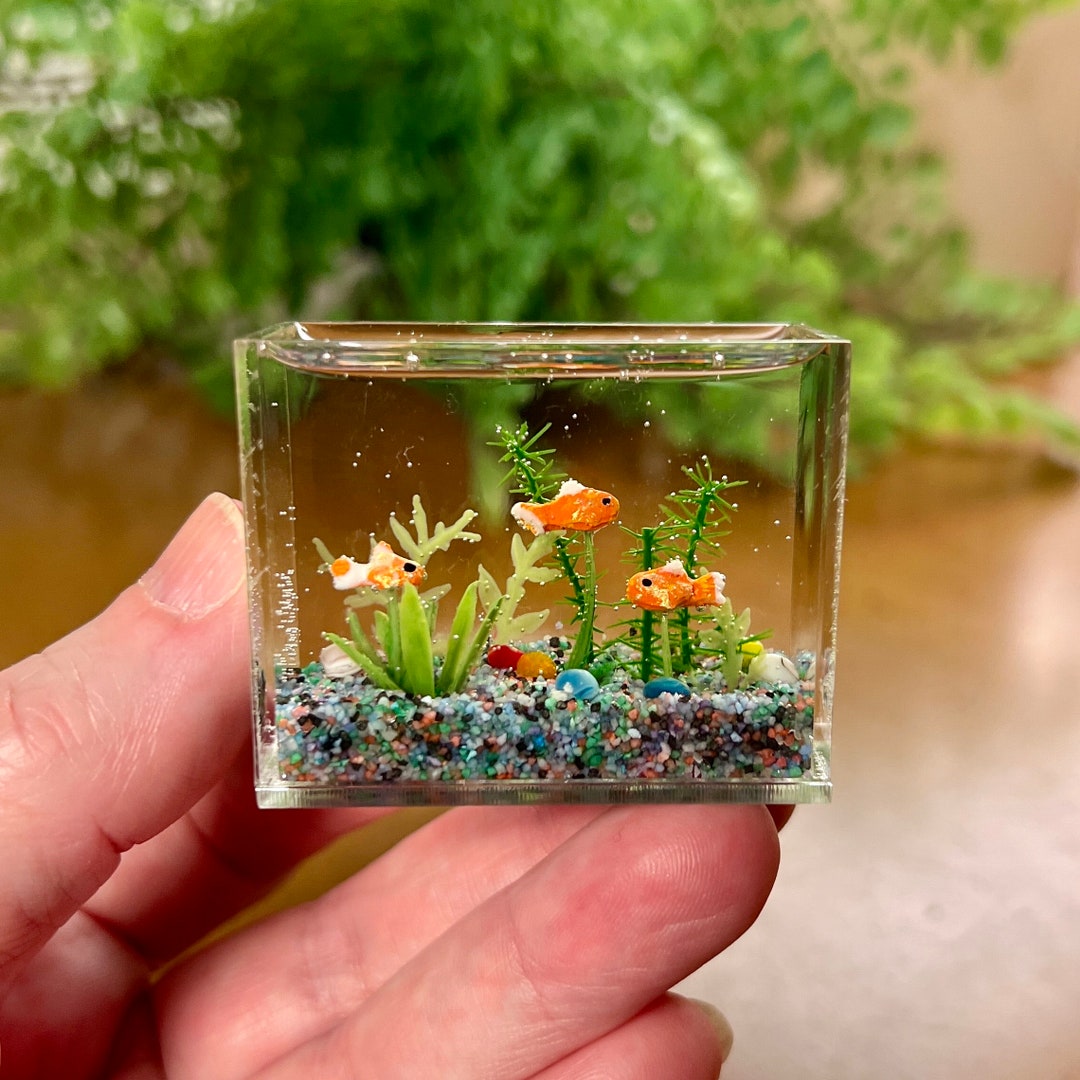 Miniature Goldfish Aquarium, Multi-color Gravel Smaller Size, Multi ...