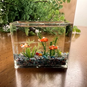 Miniature Goldfish Aquarium, Multi-color Gravel Smaller Size, Multi ... - Miniature Goldfish Aquarium Ideas For Small Spaces