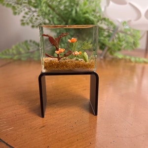 Photo inspiration: Visual Reference: Miniature Goldfish Aquarium Smaller Size Natural Brown