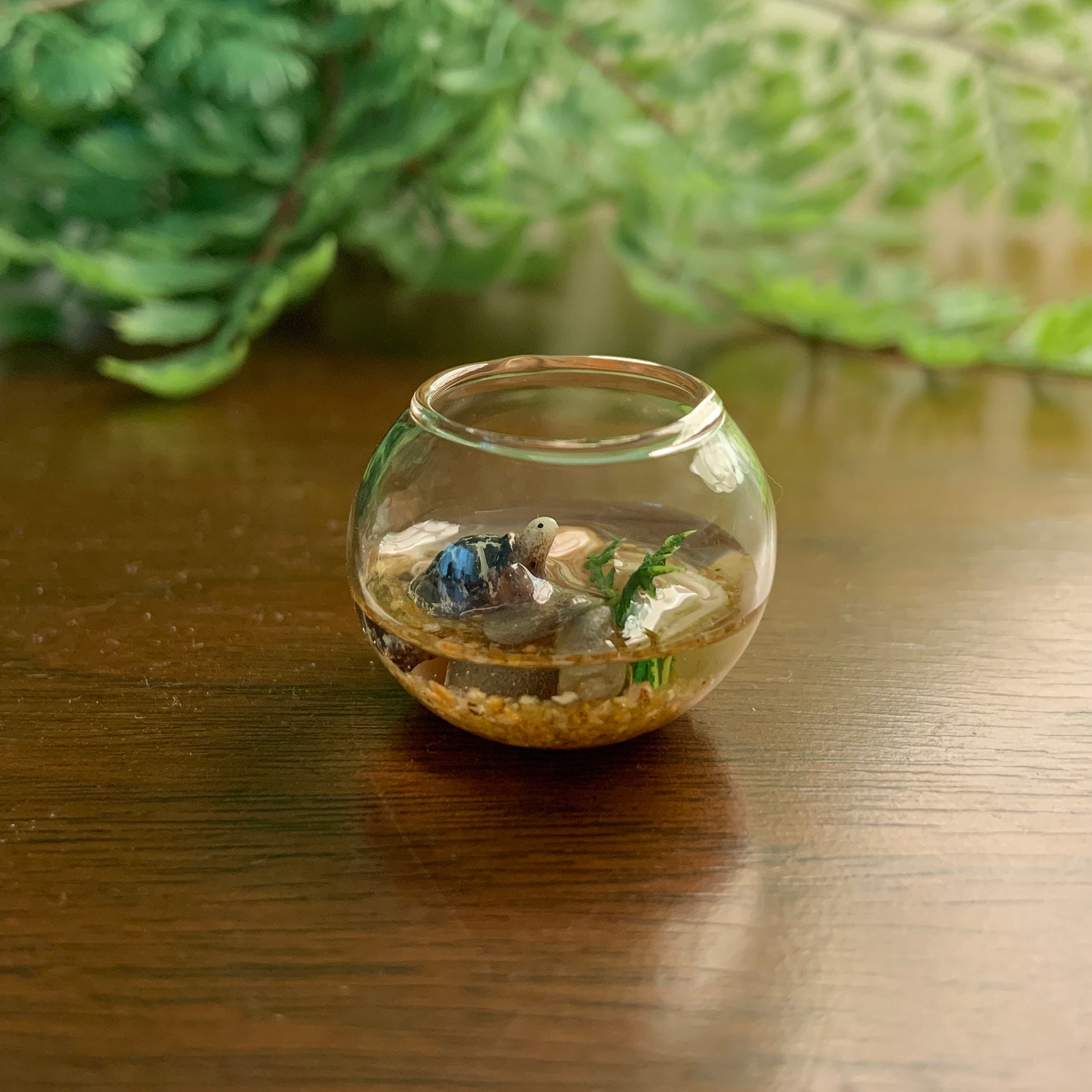 Miniature Turtle Bowl Miniature Fish Bowl Etsy