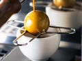 coffee themed gift items – Espresso blanching tool 30/40/50mm pour-over brewer stainless 304 freezer hook whiskey chill dishwasher safe
