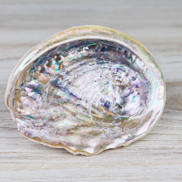Intuitively Selected Abalone Shell, Rainbow Abalone Shell, Shell, Abalone, Natural Abalone Shell, Large, Smudging Shell, Pastel, Rainbow