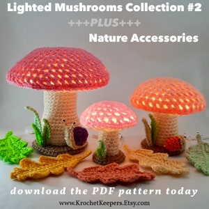 2-in-1 BUNDLE Lighted Flat-topped Mushrooms Collection 2 plus Nature Accessories Pack Crochet Pattern PDF download Home Decor image 2