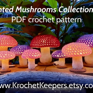 2-in-1 BUNDLE Lighted Flat-topped Mushrooms Collection 2 plus Nature Accessories Pack Crochet Pattern PDF download Home Decor image 5