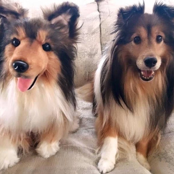 Cat Stuffed Animal Etsy