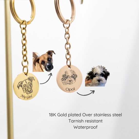 Llavero Para Pelo De Mascota Llavero Conmemorativo Para Mascotas Presenta Llavero De | Cuotas Sin Regalo Amantes Perros Gatos
