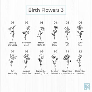 May include: A black and white illustration of birth flowers for each month of the year. The flowers are drawn in a simple, minimalist style. January: Snowdrop, February: Violet, March: Daffodil, April: Daisy, May: Lily, June: Rose, July: Water Lily, August: Gladiolus, September: Morning Glory, October: Cosmos, November: Chrysanthemum, December: Narcissus.