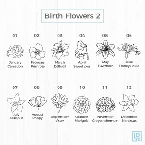 May include: A black and white illustration of birth flowers for each month of the year. January is the carnation, February is the primrose, March is the daffodil, April is the sweet pea, May is the hawthorn, June is the honeysuckle, July is the larkspur, August is the poppy, September is the aster, October is the marigold, November is the chrysanthemum, and December is the narcissus.