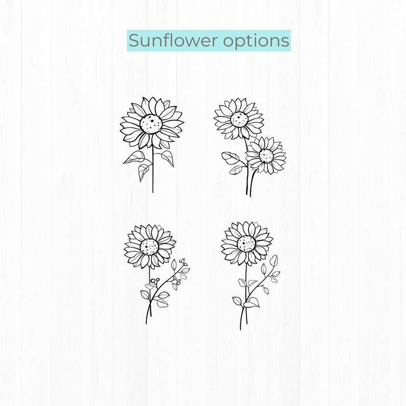 May include: Four black and white line drawings of sunflowers. Each sunflower has a different arrangement of petals and leaves.