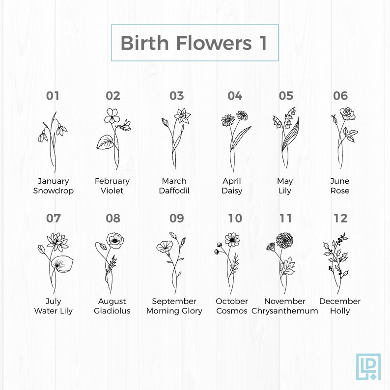 May include: A black and white illustration of 12 different flowers, each representing a different month of the year. The flowers are labeled with their corresponding month and name, such as January Snowdrop, February Violet, March Daffodil, and so on.