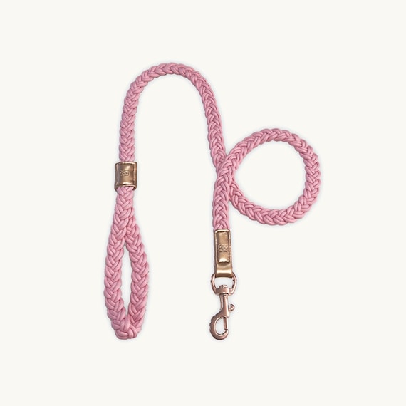 Peony Pink Braided Dog Leash, Rose Gold Hardware, Puppy Walking Lead