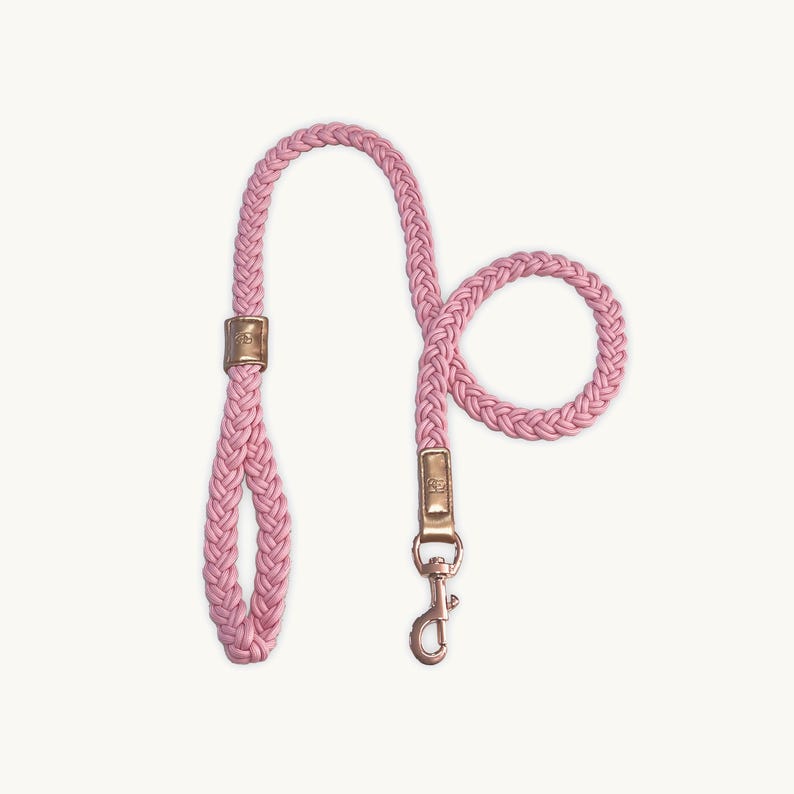 Peony Pink Braided Cute Dog Leash, Blush Rope Dog Lead, Stylish Pink Puppy Leash, Durable Walking Lead for Small Dogs, Designer Pet Leash