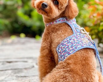 Periwinkle FLOWERS Design PUPPY Fashion Neoprene Cotton Leather HARNESS for Cat/Dog, Pet Wear Cute Harness