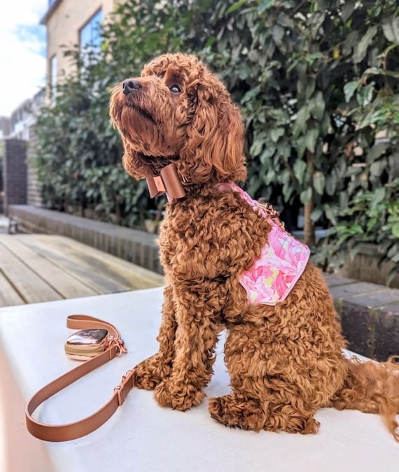 BIRD FEATHERS Design Neoprene Cotton Vegan Leather Zinc Alloy Signature HARNESS Elegant Dog cat Harness Etsy UK