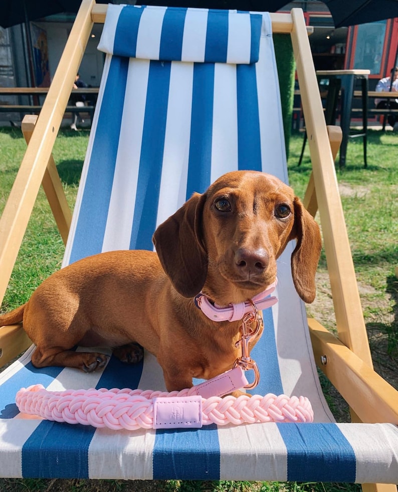 PINK Plaited Luxury Rose Gold DOG COLLAR And Leash For Friend Gift Signature Lead Pu Leather Dog Collar image 2