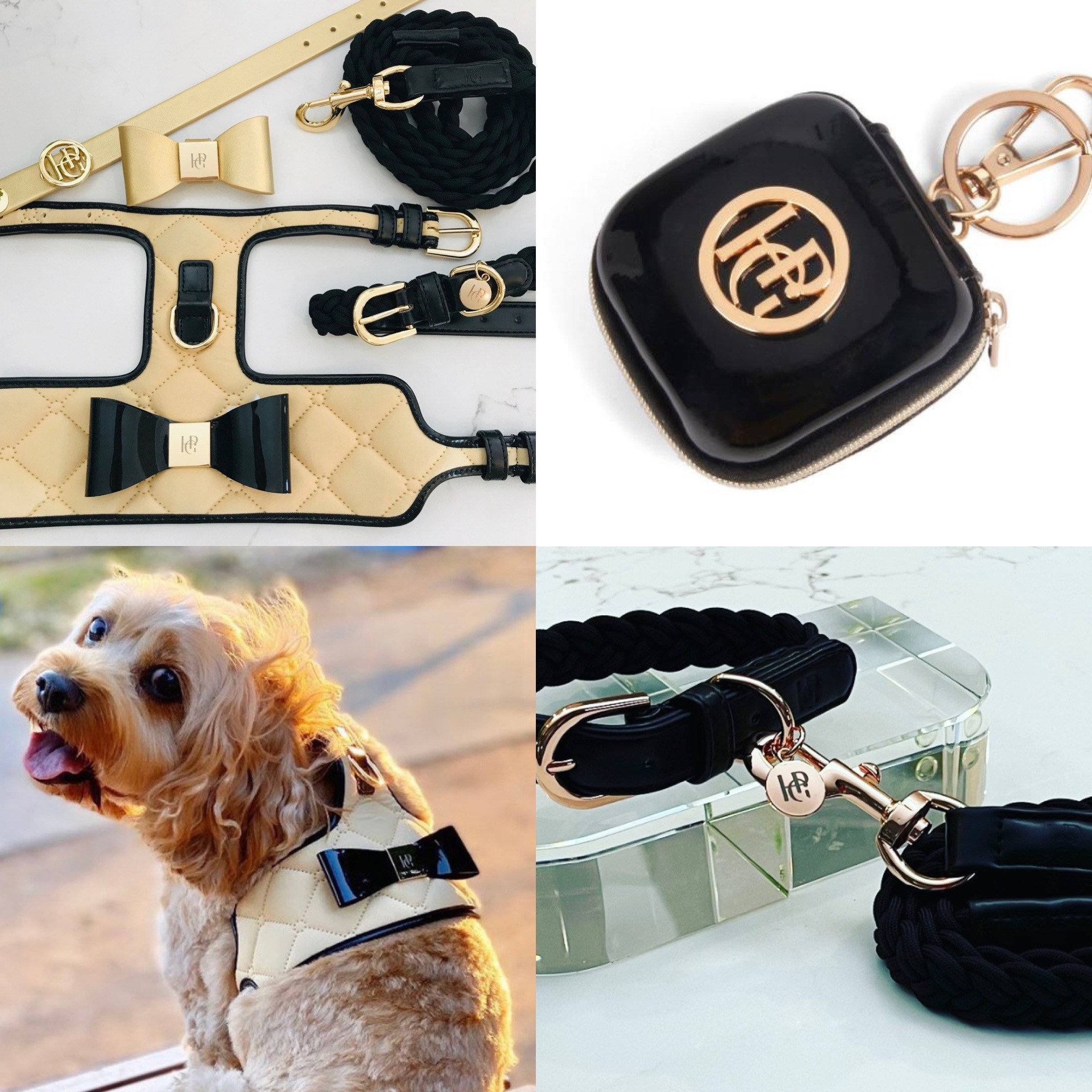 Actualizar 98+ imagen authentic chanel dog collar - Giaoduchtn.edu.vn