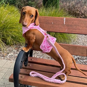 Flock Of Flamingos HARNESS For CAT And DOG – Pet Neoprene Cotton With Vegan Leather Harness