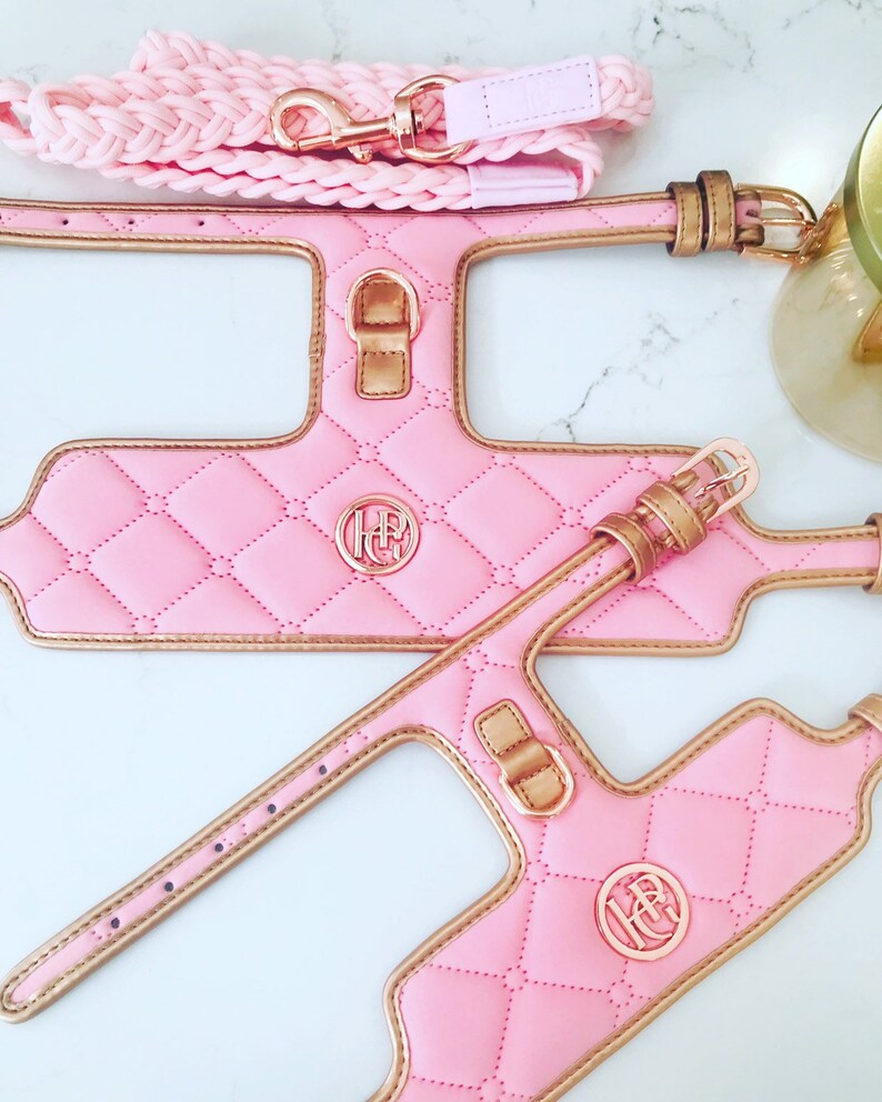 Two pink quilted dog harnesses with gold trim and a gold monogram. The harnesses have a gold buckle and a gold D-ring. A pink braided rope leash is also included.
