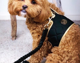 Dog/Cat Monogramed CHEST HARNESS -  Black And Champagne PU Leather Neoprene Pet Harness