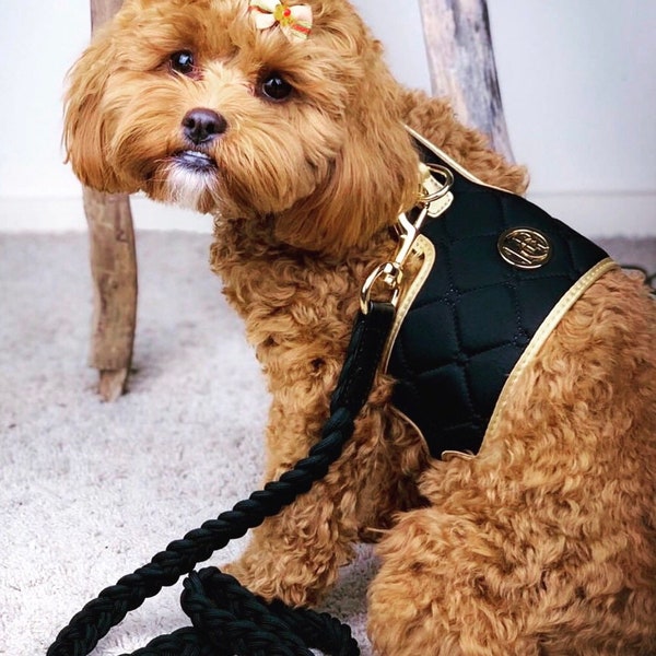 Dog/Cat Monogramed CHEST HARNESS -  Black And Champagne PU Leather Neoprene Pet Harness