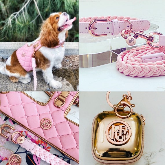 Verstellbares Haustier-Halsband Aus Kunstleder – Für Hunde & Katzen, Weich & Stylisch