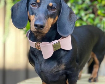 Lindo ARCO Adorable perro CUERO y elegante COLLAR de boda para amigo peludo, elegante collar accesorio para animales de compañía