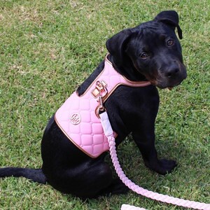 May include: A black dog wearing a pink quilted harness and matching leash. The harness has gold-colored hardware and a small circular emblem. The dog is sitting on green grass.