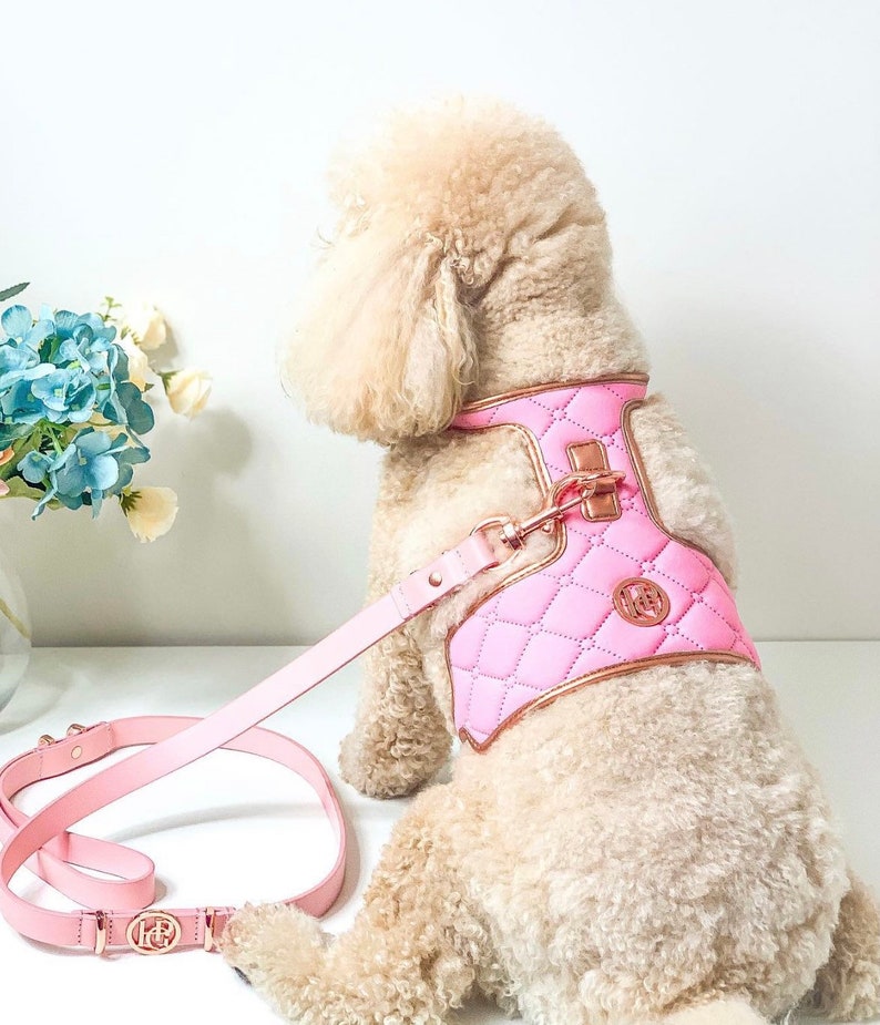 May include: A pink quilted dog harness and matching leash set. The harness features a diamond pattern with rose gold accents and hardware. The leash and harness are made of a smooth, light pink material. A small dog is wearing the harness.