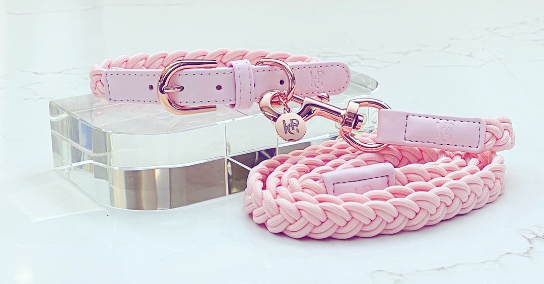 QRDA Collare E Guinzaglio Per Cani - Grigio Argento, Regolabile, In Pelle E Nylon Per Taglie Piccole, Medie E Grandi