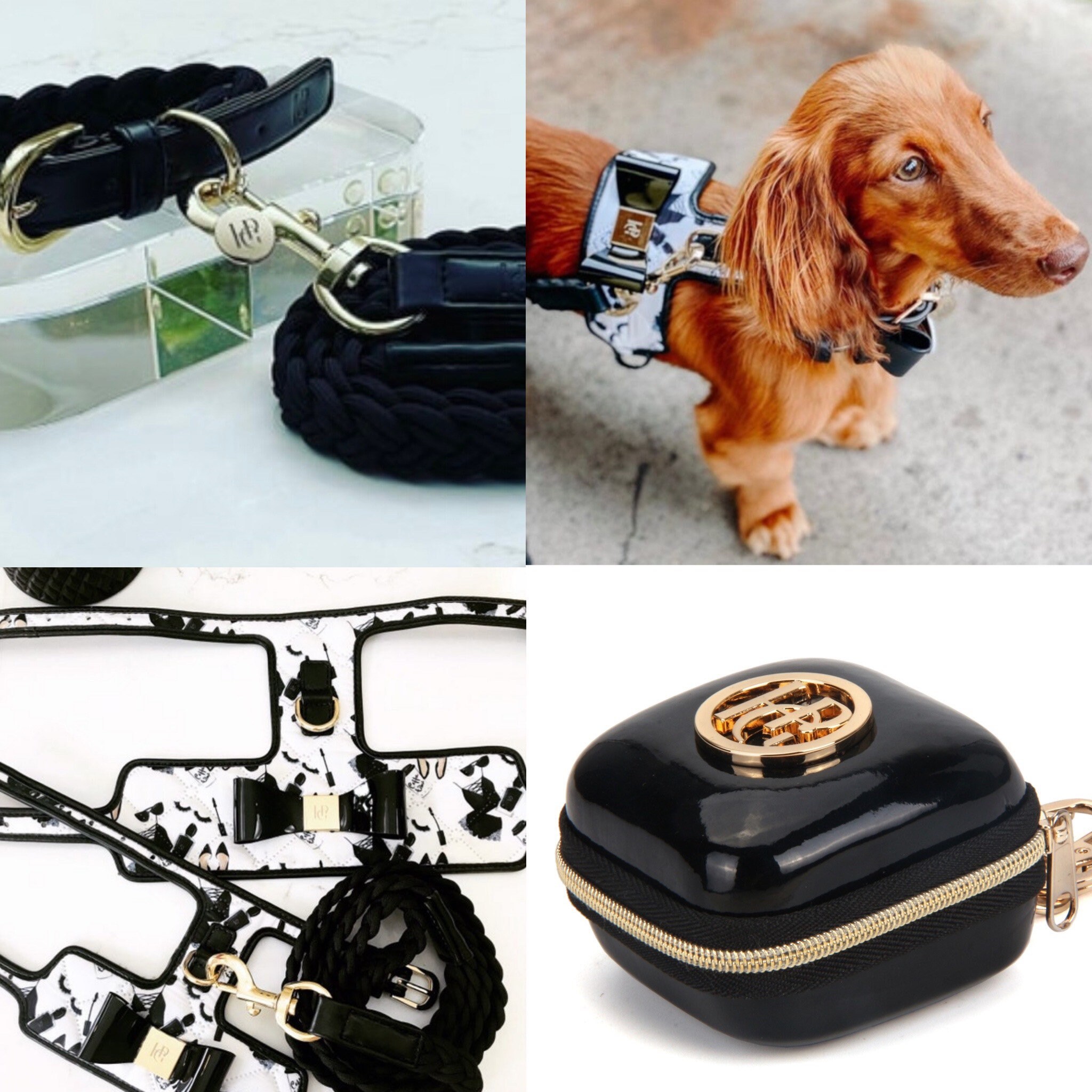 chanel sweater for dogs