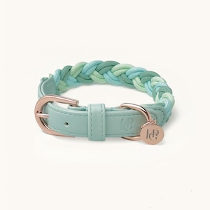 Braided Aquamarine Dog Collar, Rose Gold Hardware, Adjustable Puppy Collar