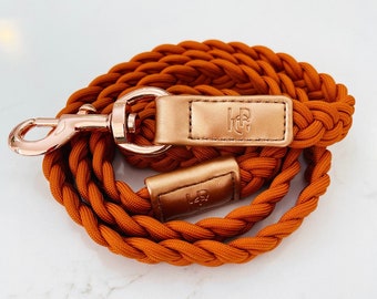 Cinnamon Plaited DOG LEASH – Monogrammed Classy And Versatile Hand Crafted COLLAR