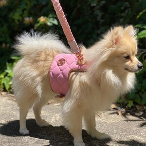 May include: A small, fluffy, light-colored dog wearing a pink quilted harness and matching braided leash. The harness has gold-colored hardware and a decorative emblem. The dog is standing on a concrete surface in front of green foliage.