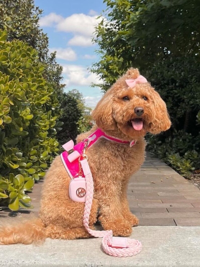 Fuchsia Pink Luxury Dog Harness, Fancy Puppy Harness, Adjustable Small Medium Dog Harness Vest, Cute Girl Dog Walking Harness