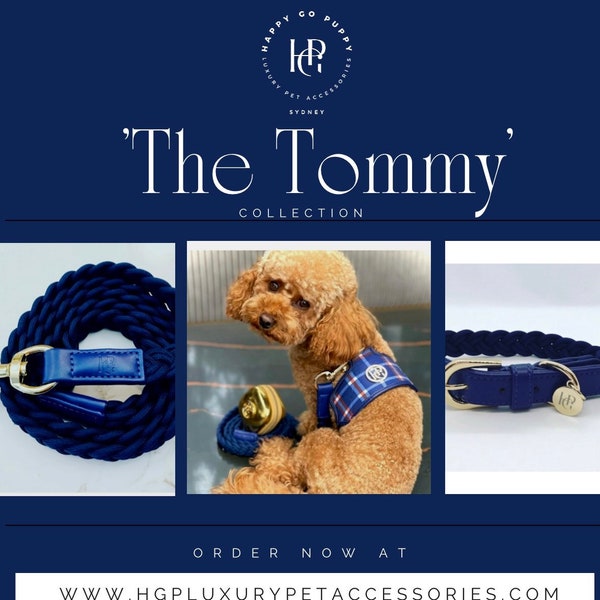 The Tommy COLLECTION For DOG And CAT – Stylish Pet Harness/Collar/Leash And Waste Bag