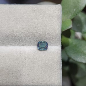 Certified Alexandrite 0.30cts color change green to Purple Russian Alexandrite Cushion 4.1mm 3.6mm 2.1mm chrysoberyl no inclusions