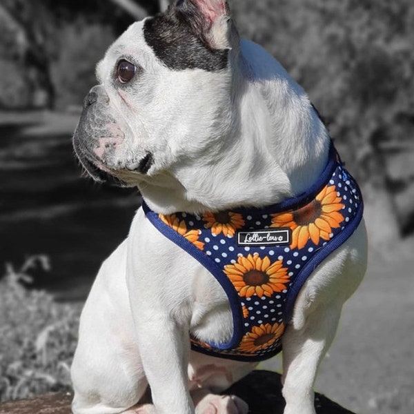 Sunflower Dog Harness