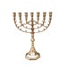 see more listings in the Seven Branch Menorah section